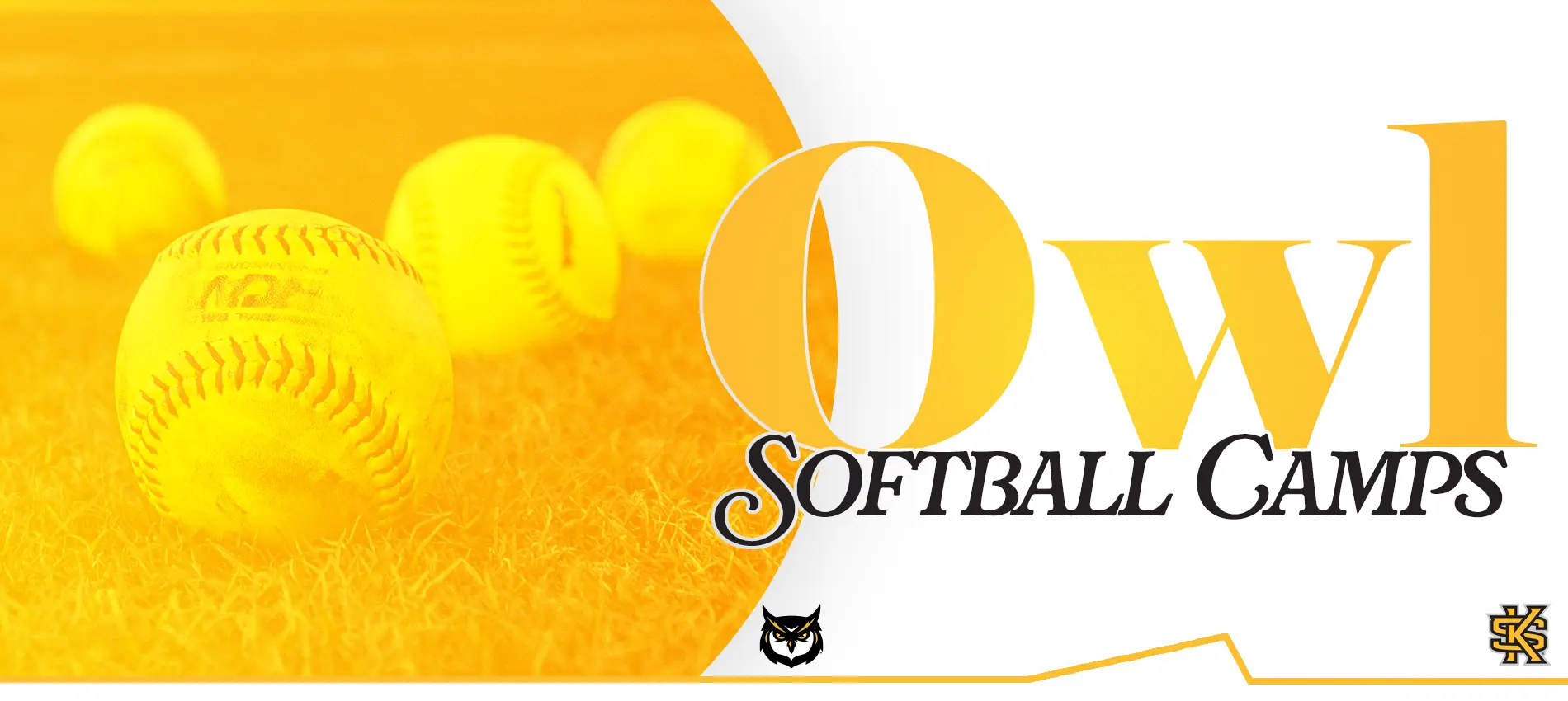 Owl Softball Camps