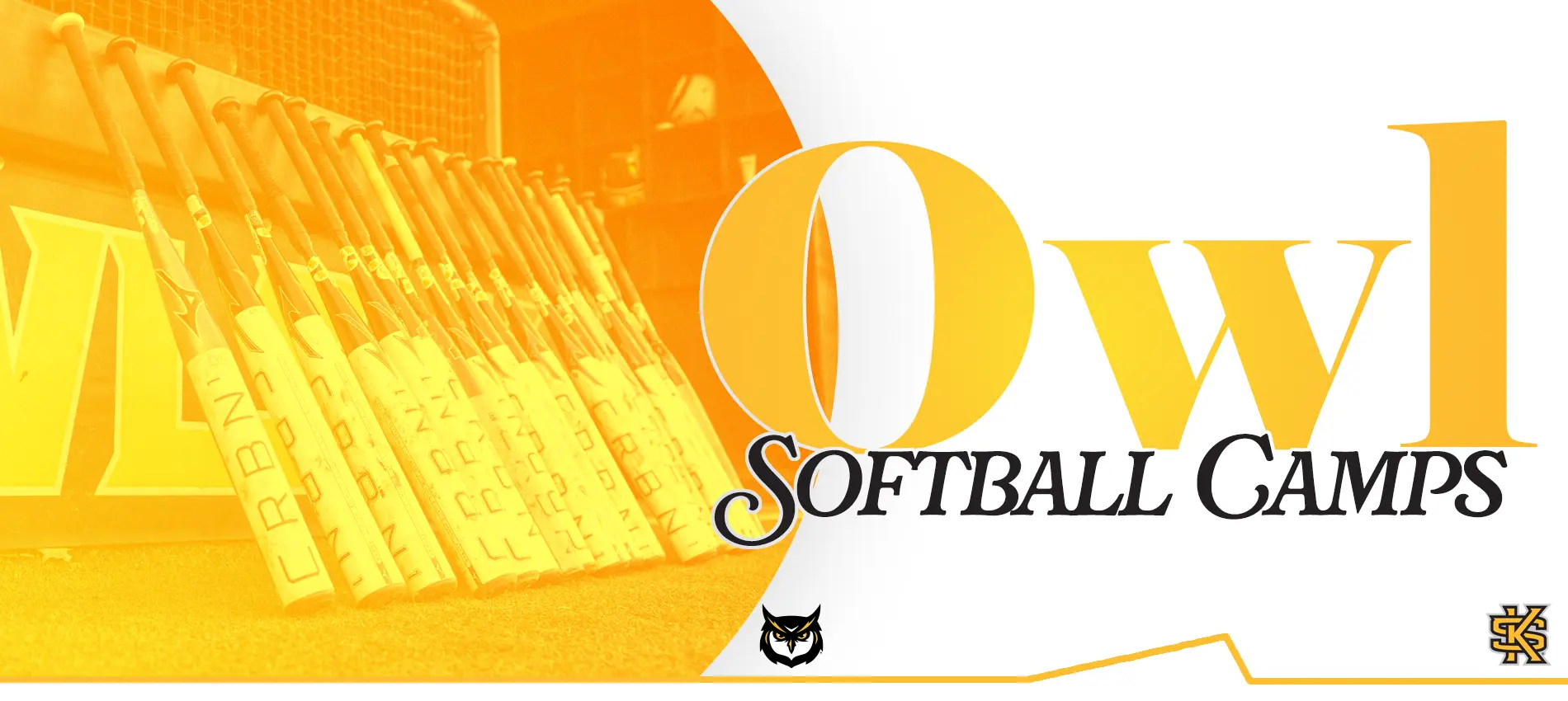 Owl Softball Camps